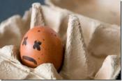 Tips To Identify Rotten Poultry